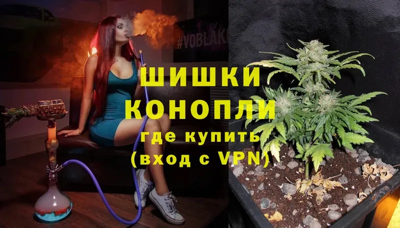 Бошки марихуана Ganja  Избербаш 